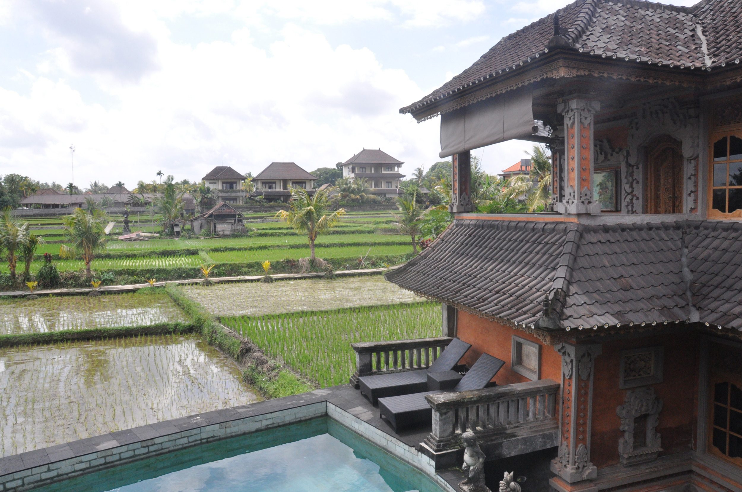 在巴厘岛阿拉的绿色泻湖宾馆要做的事情