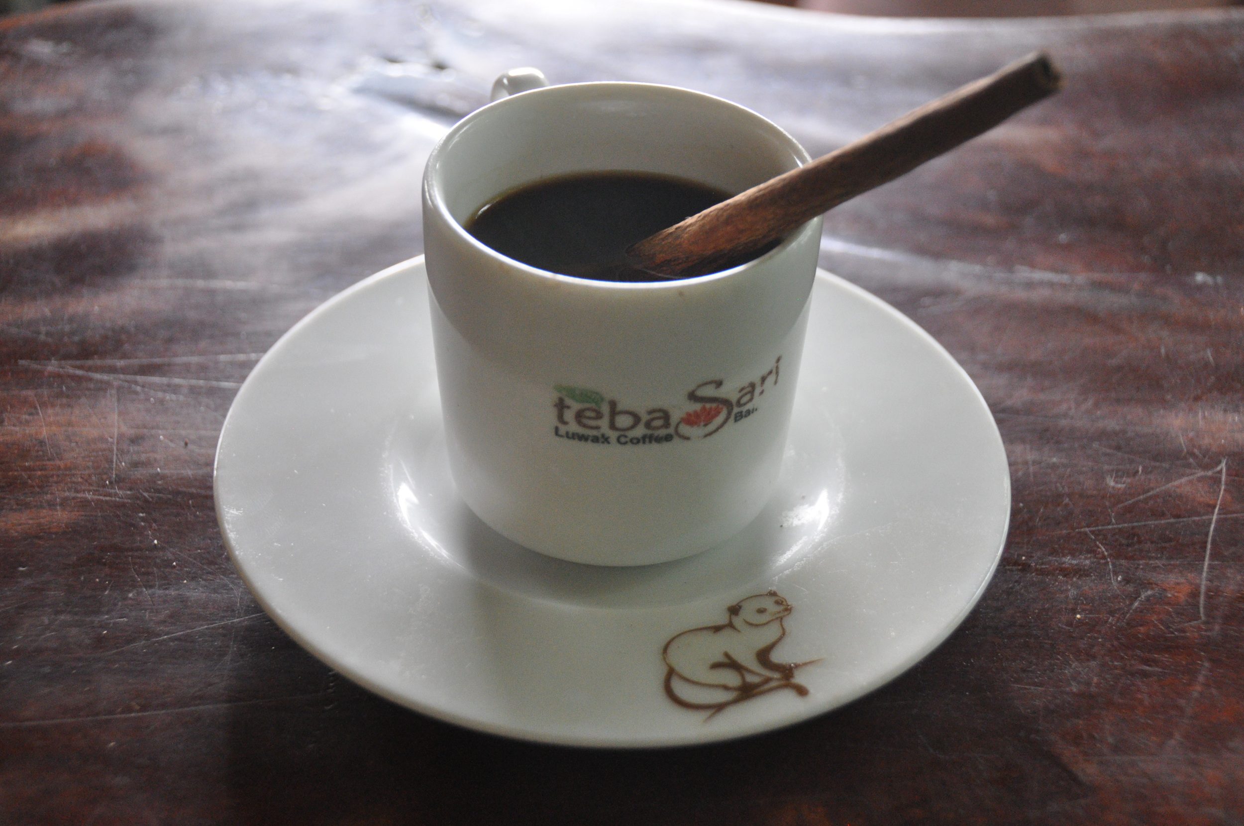 Things NOT to do in Bali Luwak Coffee Bali