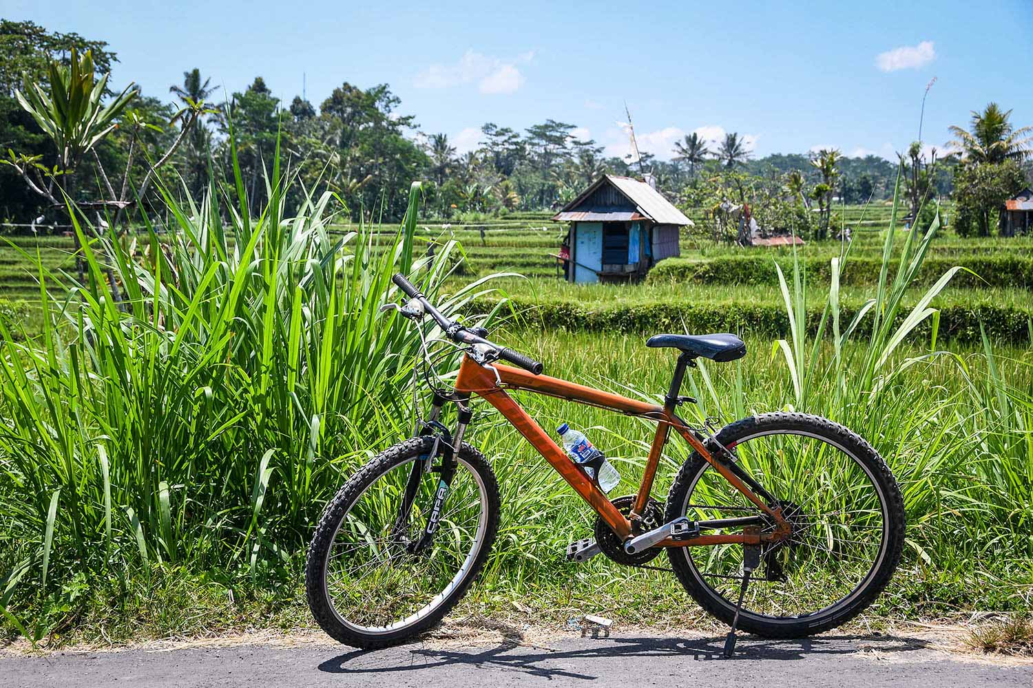 巴厘岛乡村自行车之旅要做的事情