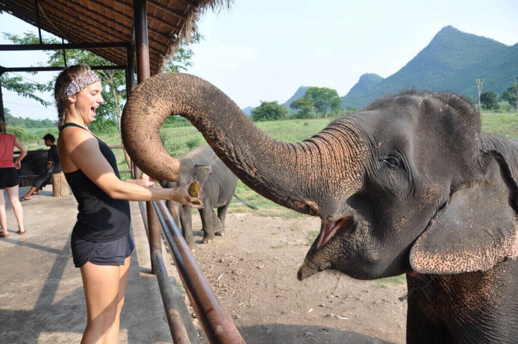 大象世界泰国曼谷北碧府