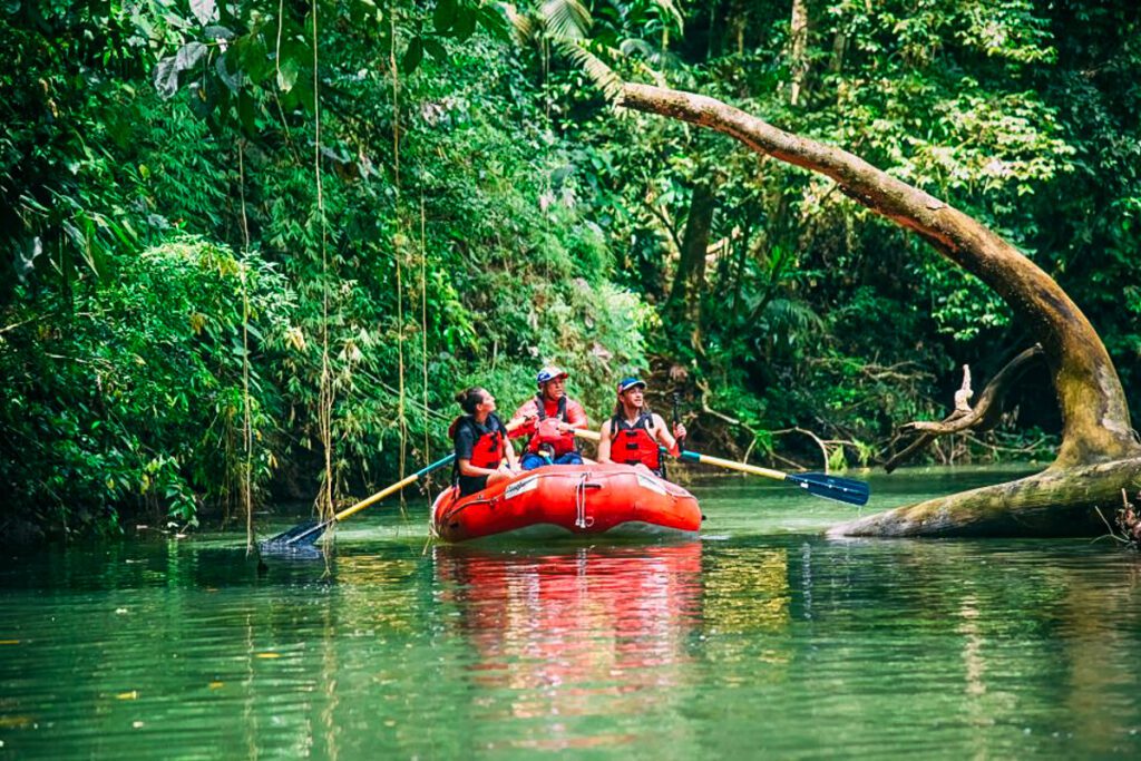 Safari Float (GYG)