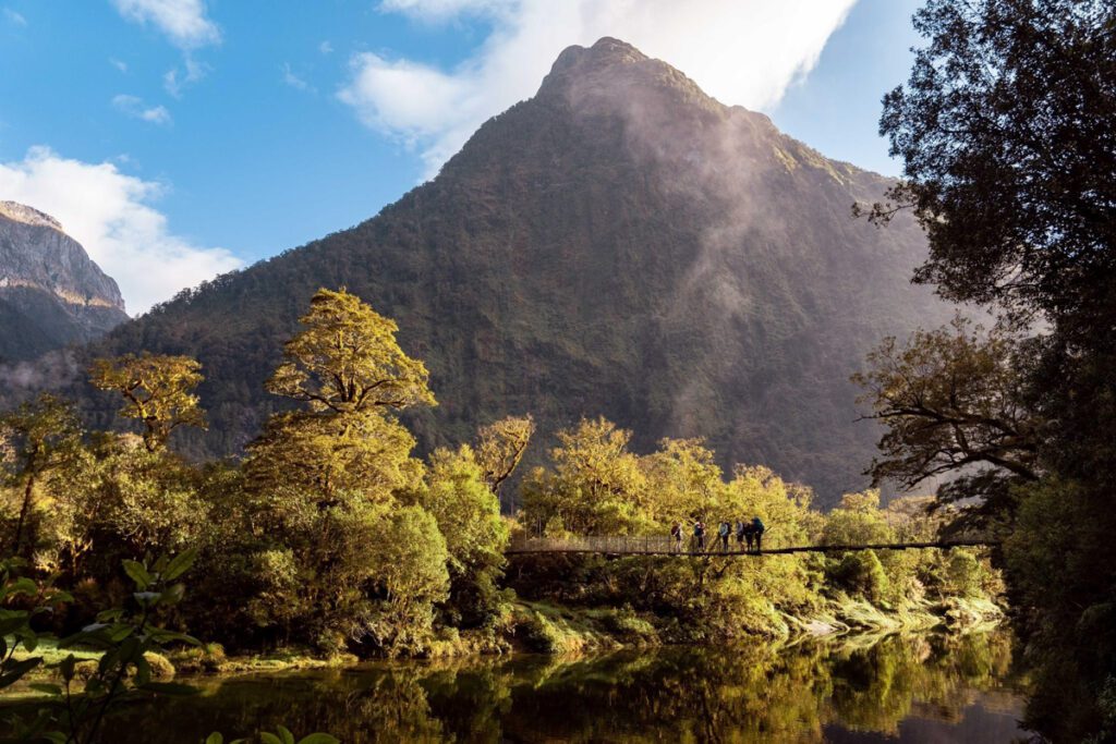 Milford Track (Alexyn Scheller) 2