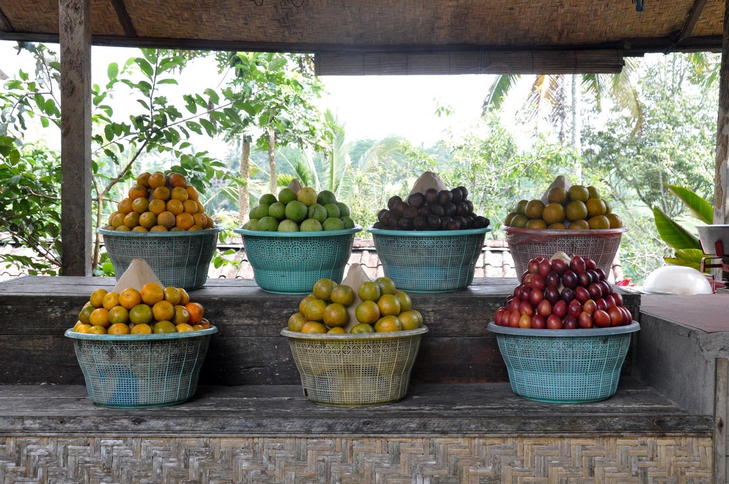 巴厘岛的水果