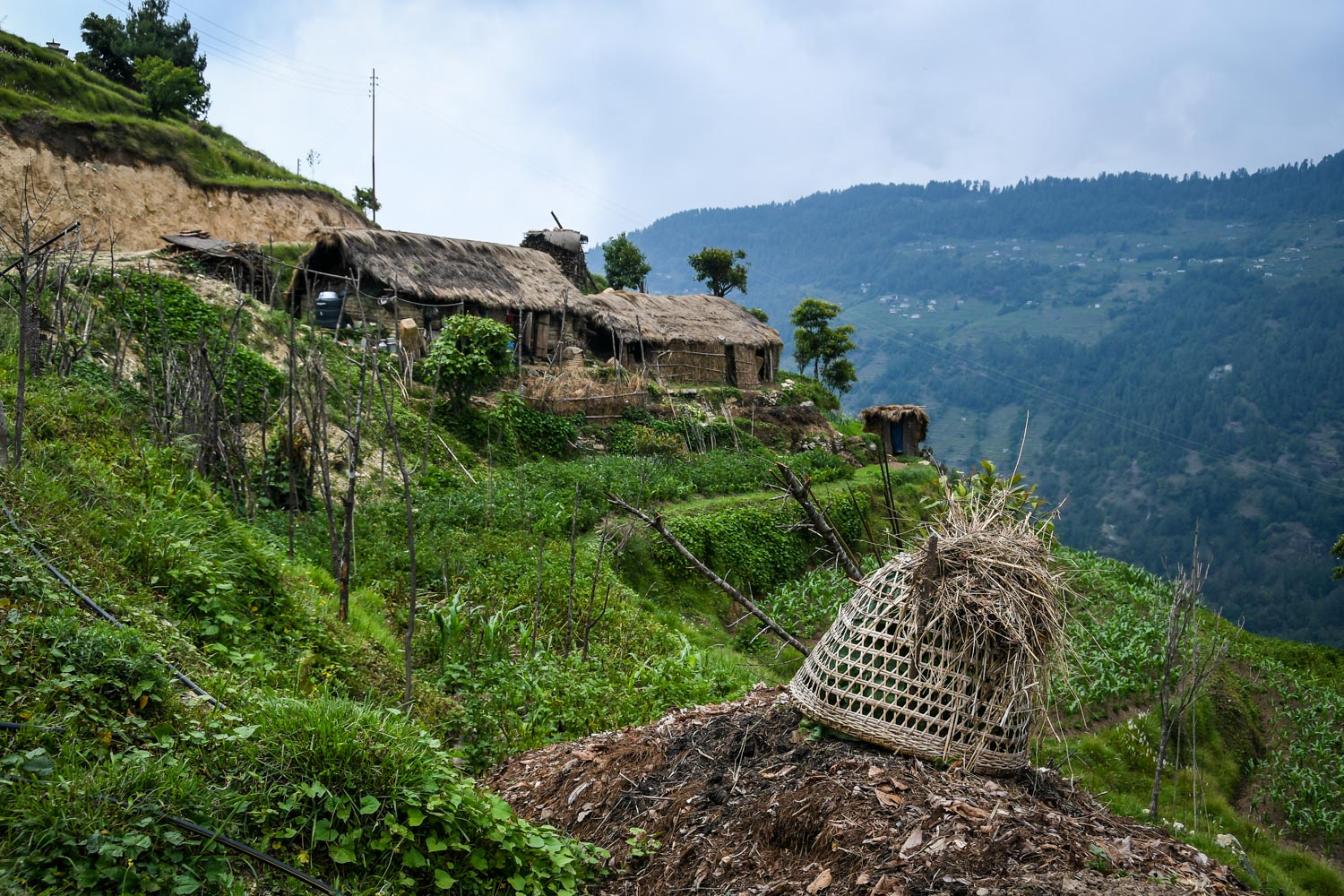 Mohare Danda Trek村庄农场