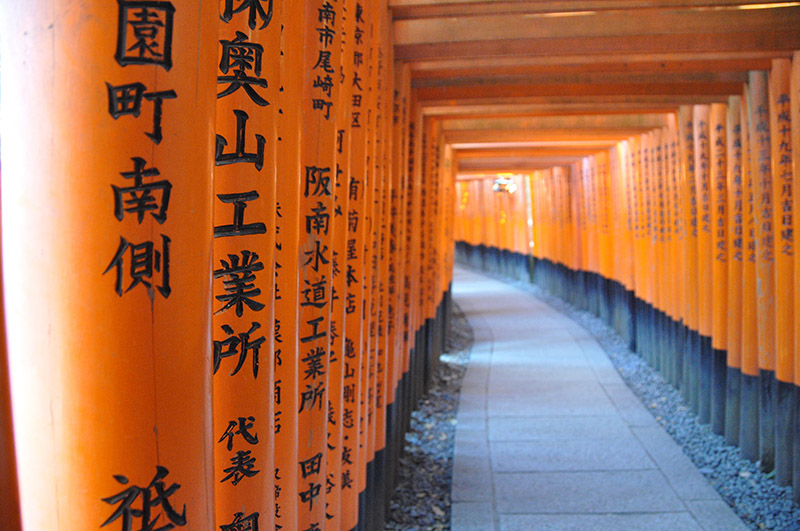 日本京都稻成福见神社橙门