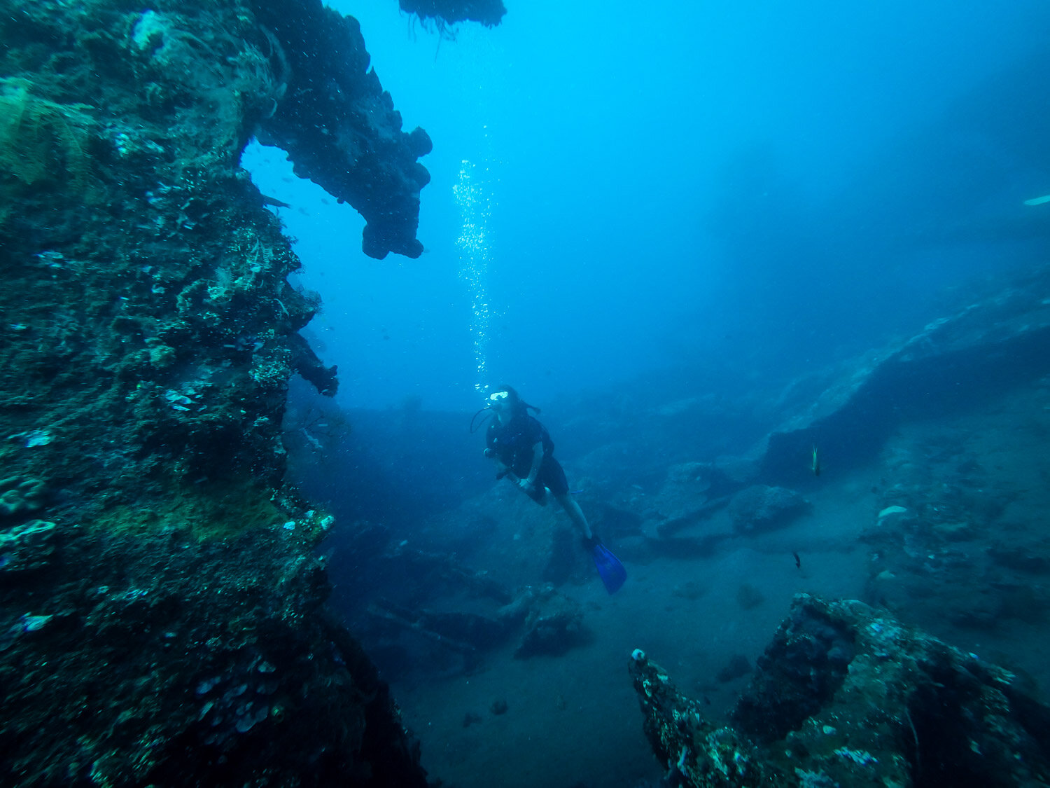 被命名为巴厘岛水肺潜水USAT自由潜水