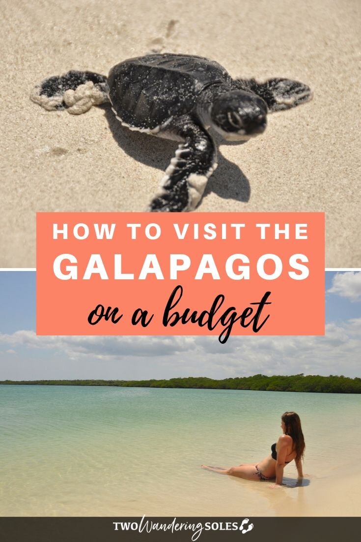 Galápagos预算