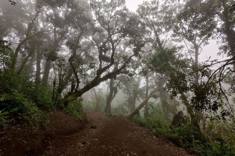 徒步旅行的第二天，我们从阿卡特南戈火山(Acatenango)下山，穿过云层。