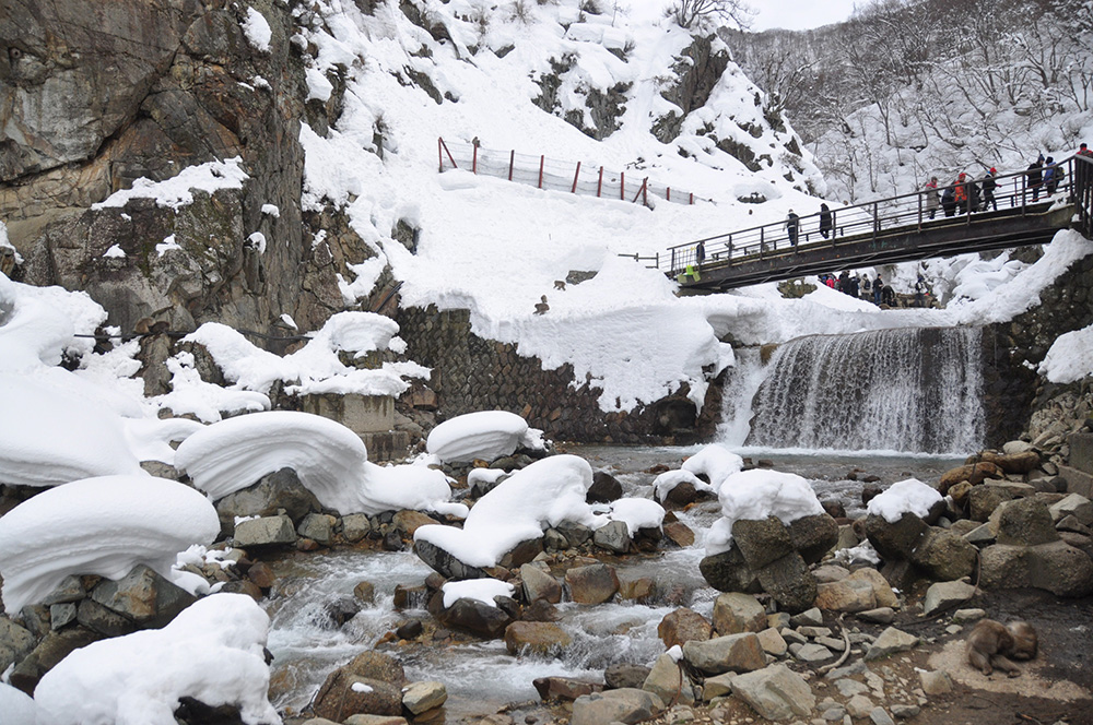 Jigokudani Snow Monkey Park Things to do in Japan