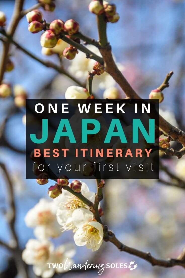 一个疯狂的一周在日本旅行:一华体会最新登录网站个完整的7天行程