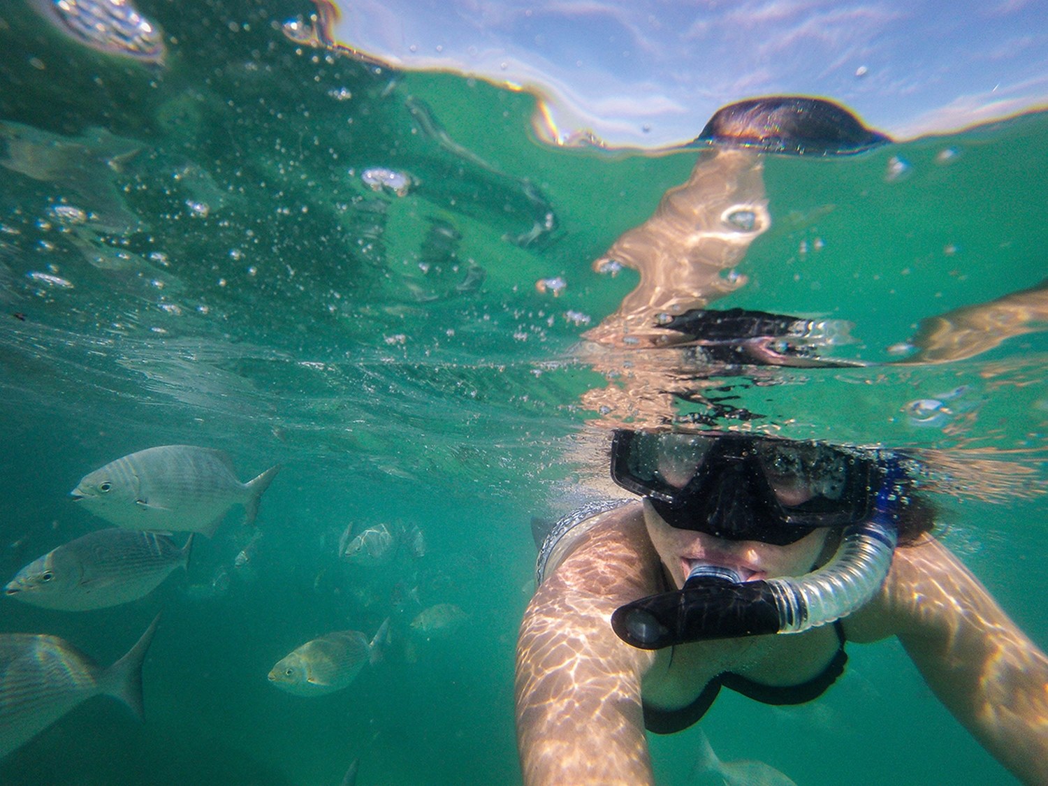 世界各地可持续旅游的例子——墨西哥下哈半岛