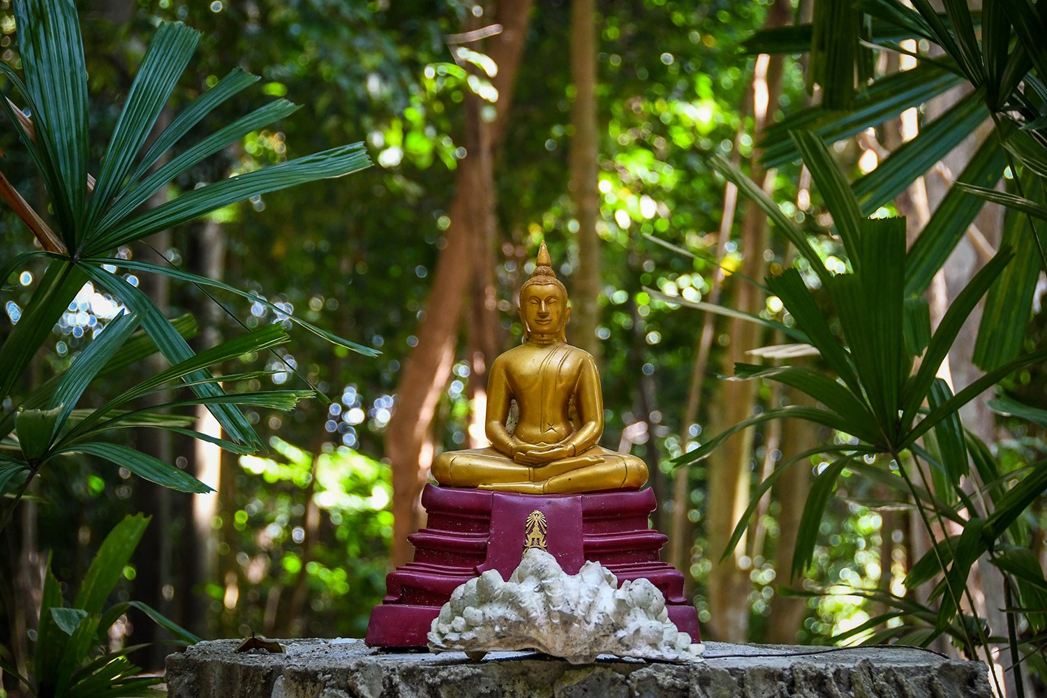 在泰国岛佛寺佛祖要做的事