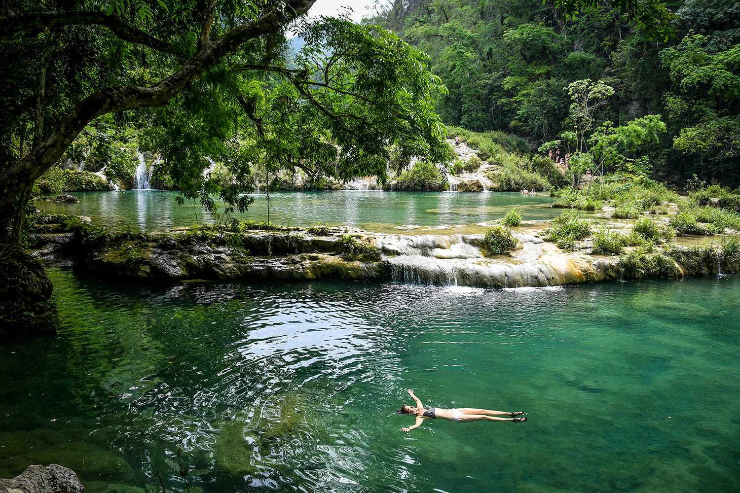 Semuc Champey瀑布浮池终极指南