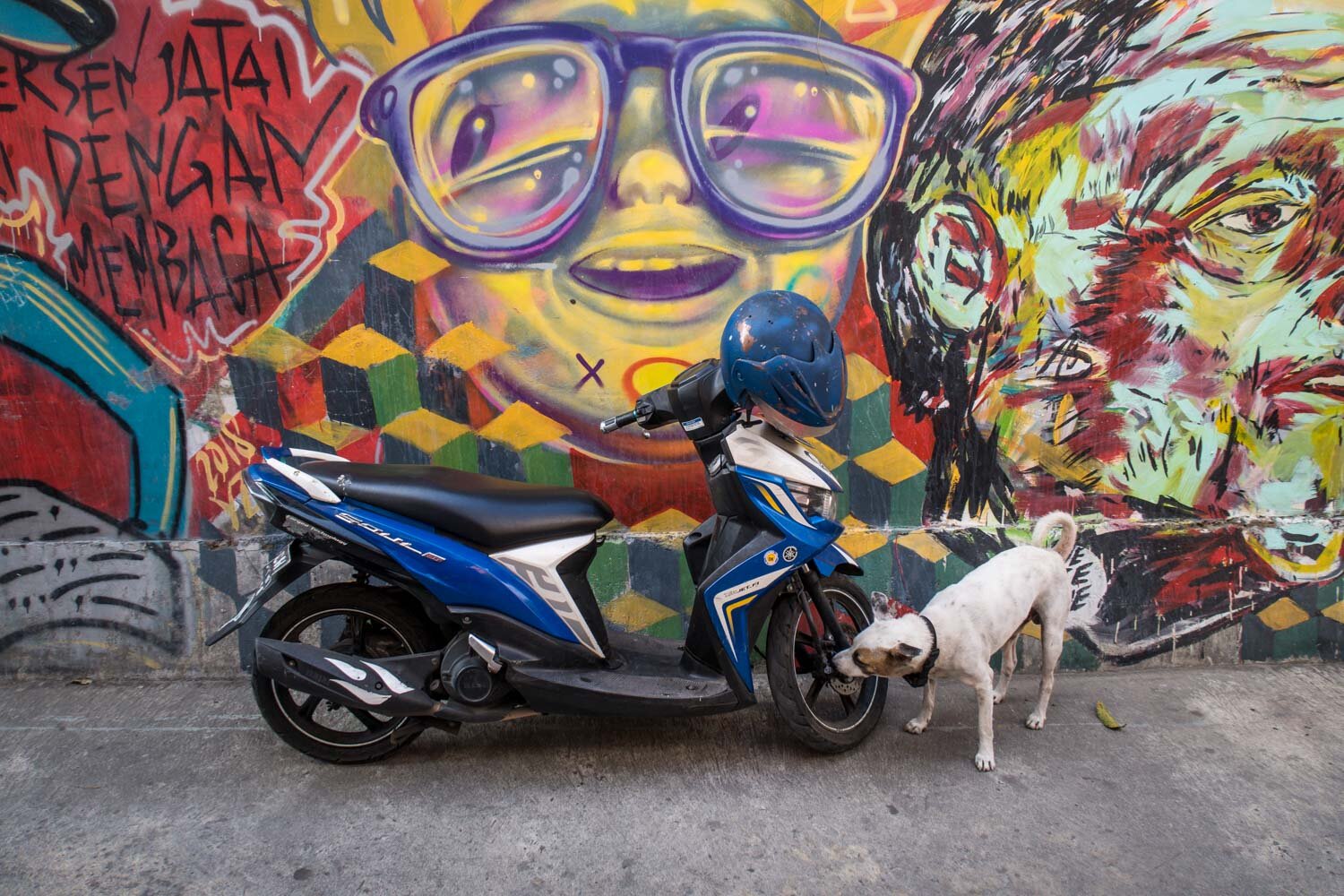 摩托车在日惹和狗