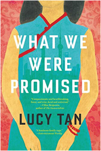 为旅行者准备的书:露华体会最新登录网站西·谭的《我们被承诺的东西》