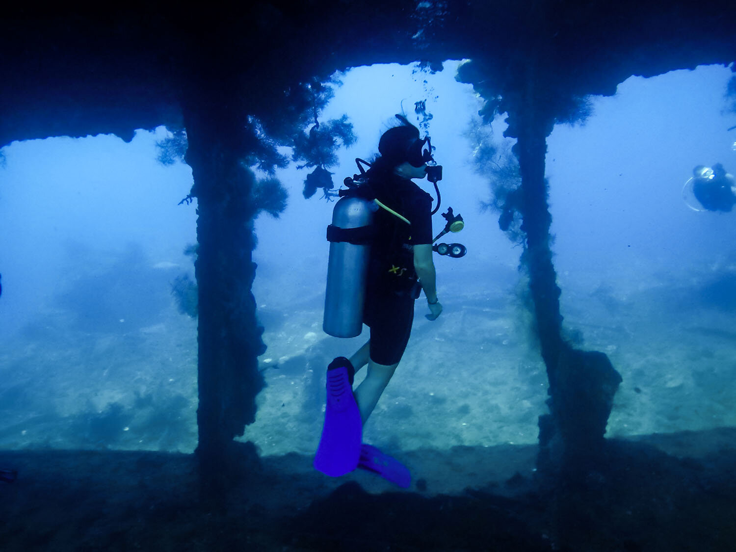 被命名为巴厘岛水肺潜水USAT自由