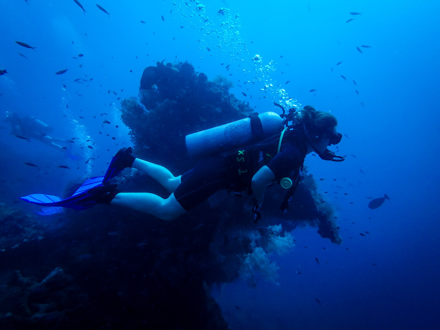 被命名为巴厘岛水肺潜水USAT自由沉船潜水