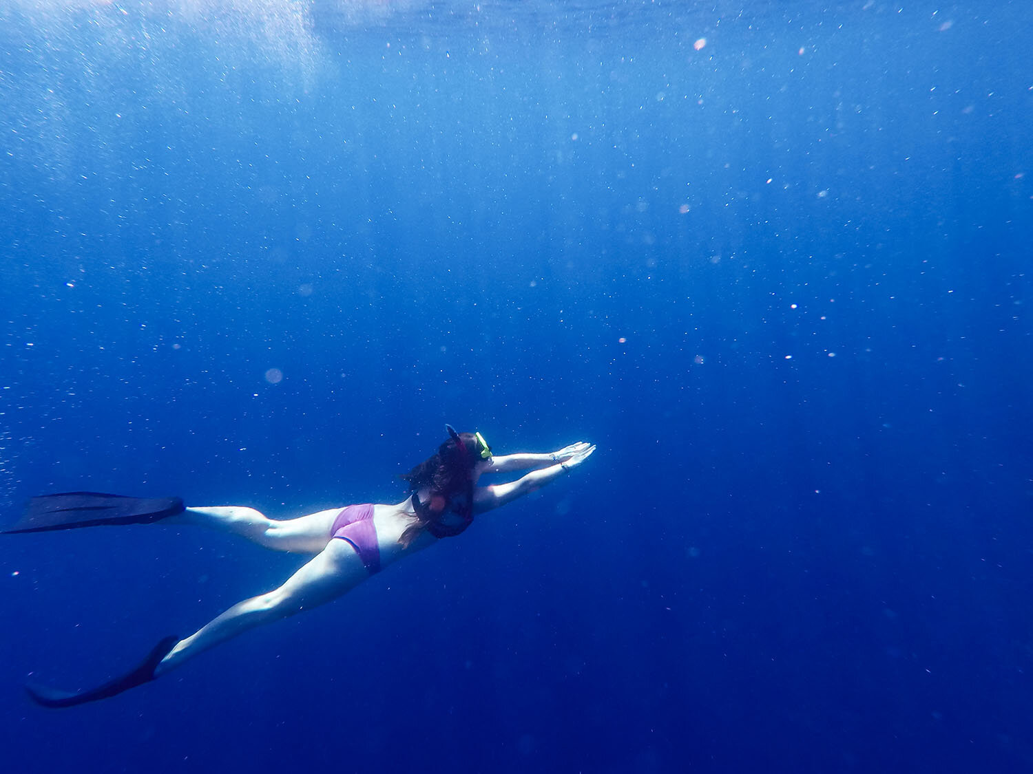 阿米德巴利在海洋自由潜水