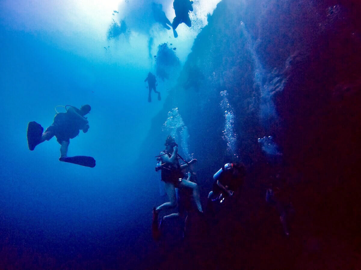 在伯利兹潜水:大蓝洞潜水