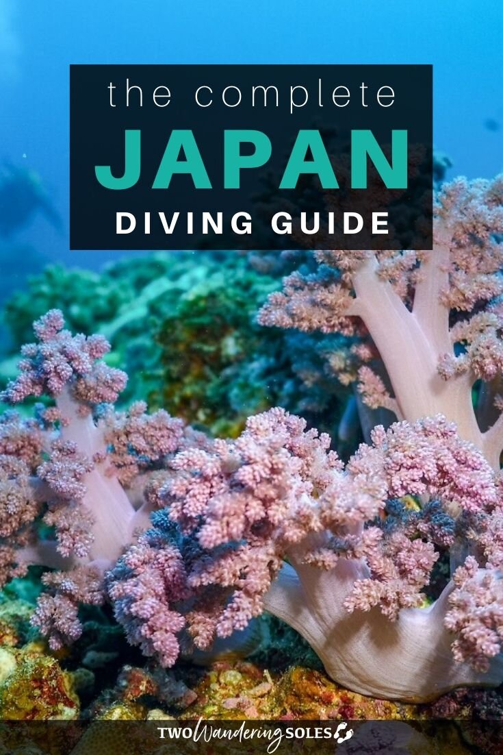 日本潜水终极指南|两个游荡的鞋底华体会吧