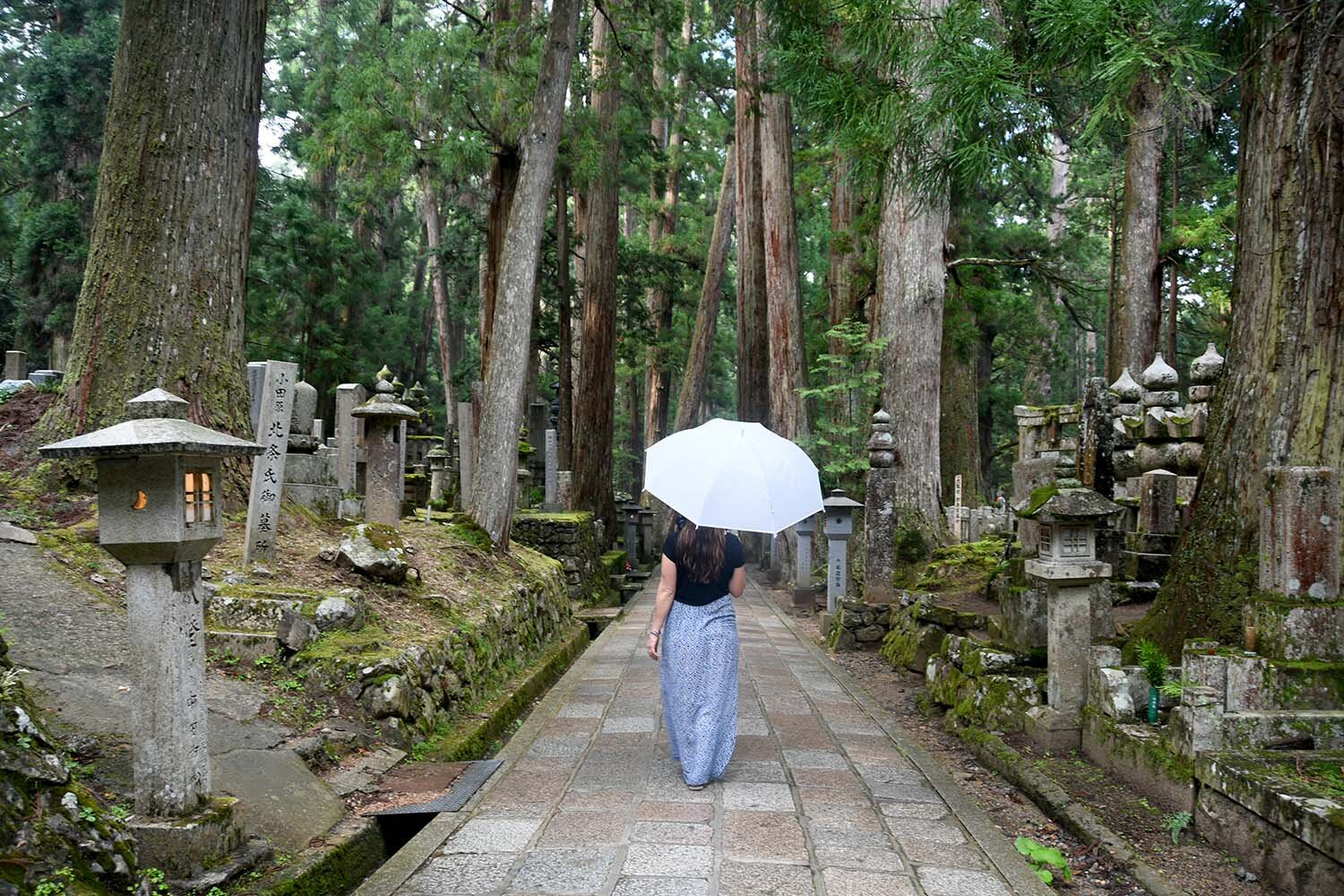 佛教墓地的日本纪念品雨伞