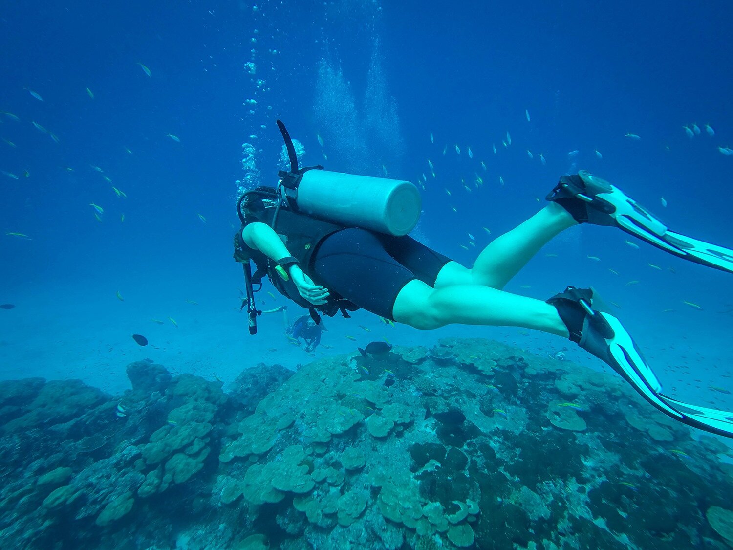 泰国最佳船宿潜水|斯米兰群岛潜水