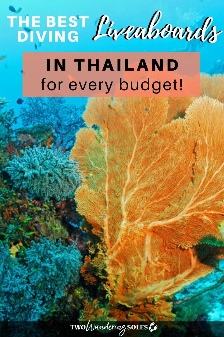 泰国最佳潜水船宿|两个流浪鞋底华体会吧