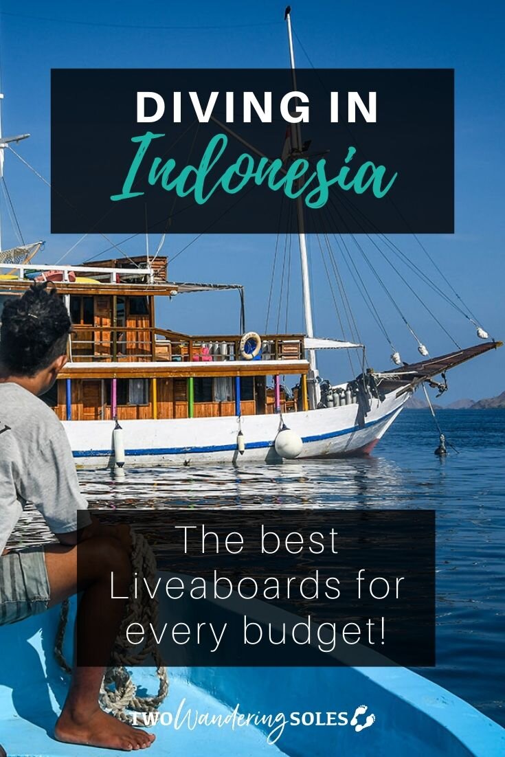 印度尼西亚最好的潜水船宿|两个流浪鞋底华体会吧