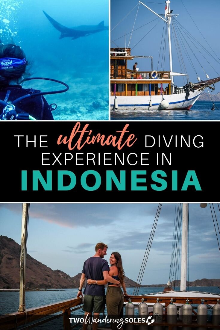 印度尼西亚最好的潜水船宿|两个流浪鞋底华体会吧