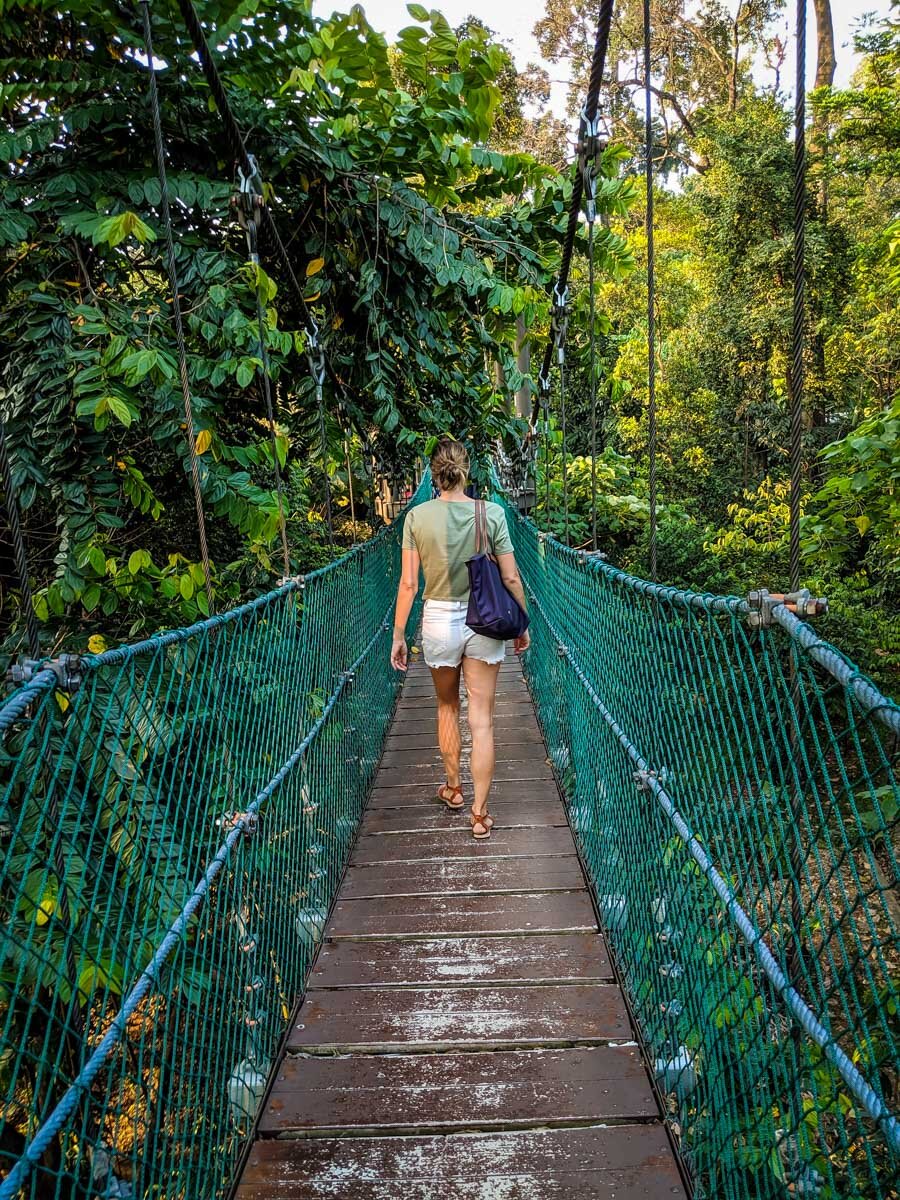 吉隆坡必做之事|吉隆坡森林生态公园的吊桥;图片来自我们的编辑Amanda Pointer