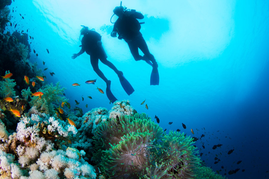 图片来源:Casa Natura Galapagos Lodge