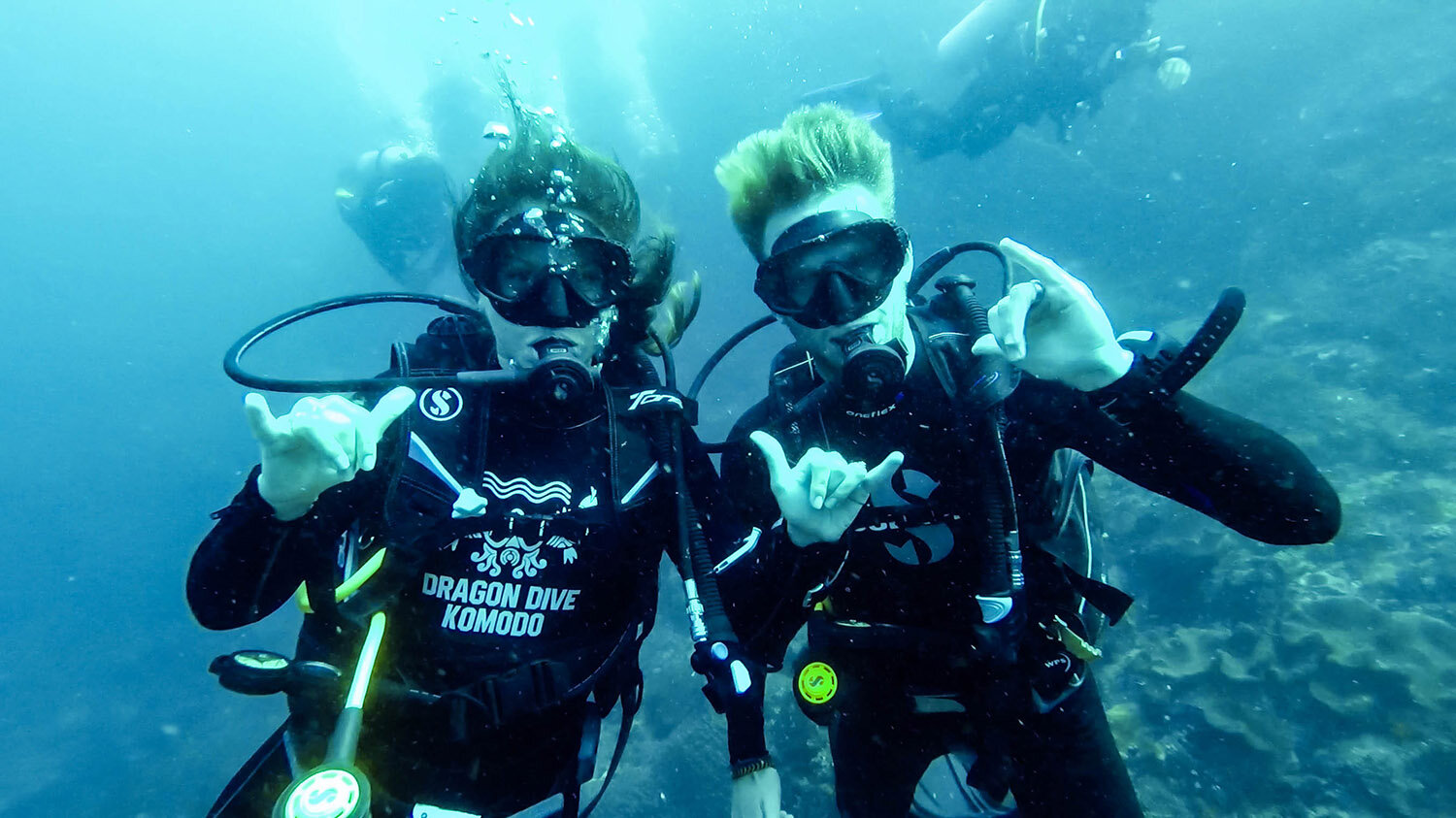 船宿潜水之旅|印度尼西亚科莫多岛潜水