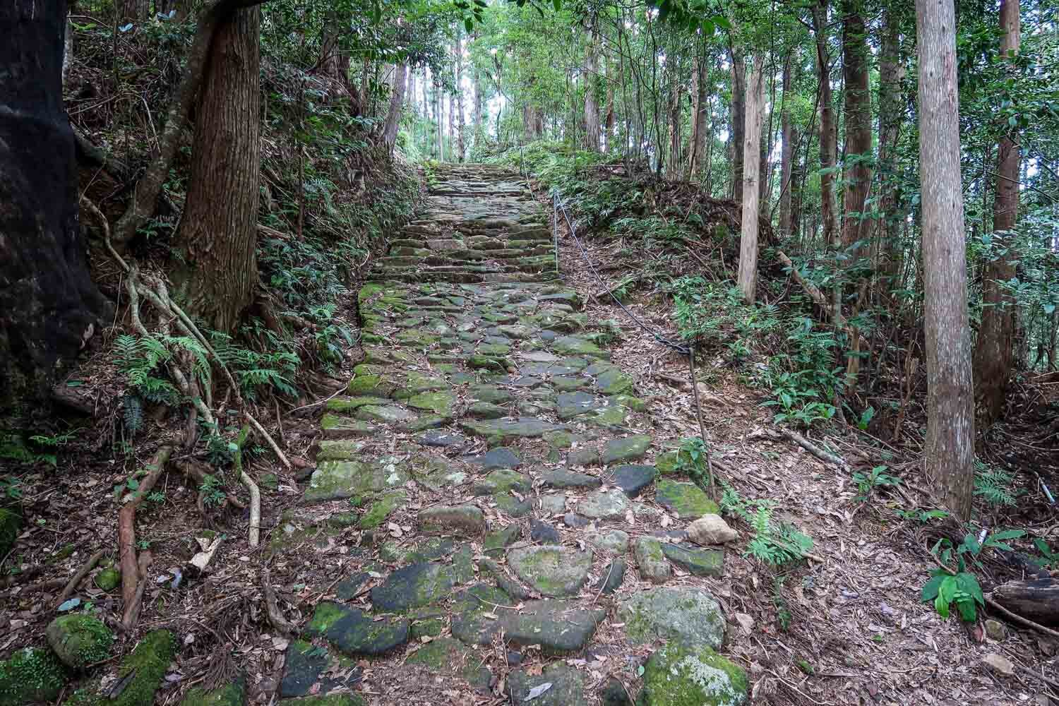 熊野Kodo小径石阶