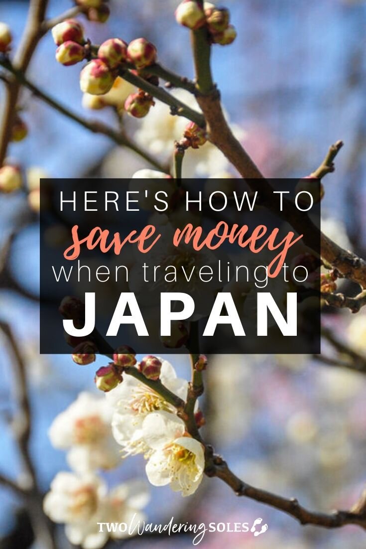 日本要花多少钱