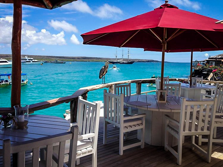 浪漫之旅|酒店Angermeyer海滨酒店加拉帕戈斯群岛