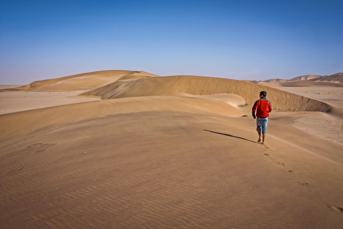 在纳米比亚必做的事情:纳米布沙漠