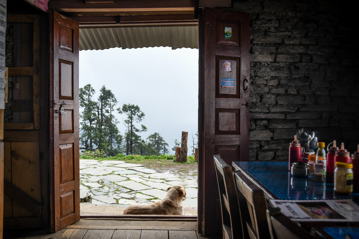 Mohare Danda Trek Inside Lodge