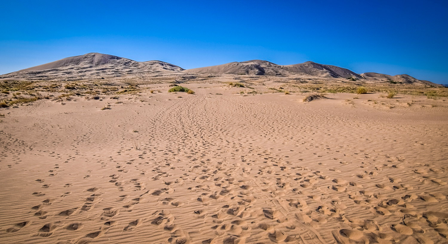 加州最佳沙漠徒步旅行:凯尔索沙丘小径来源:We Who Roam