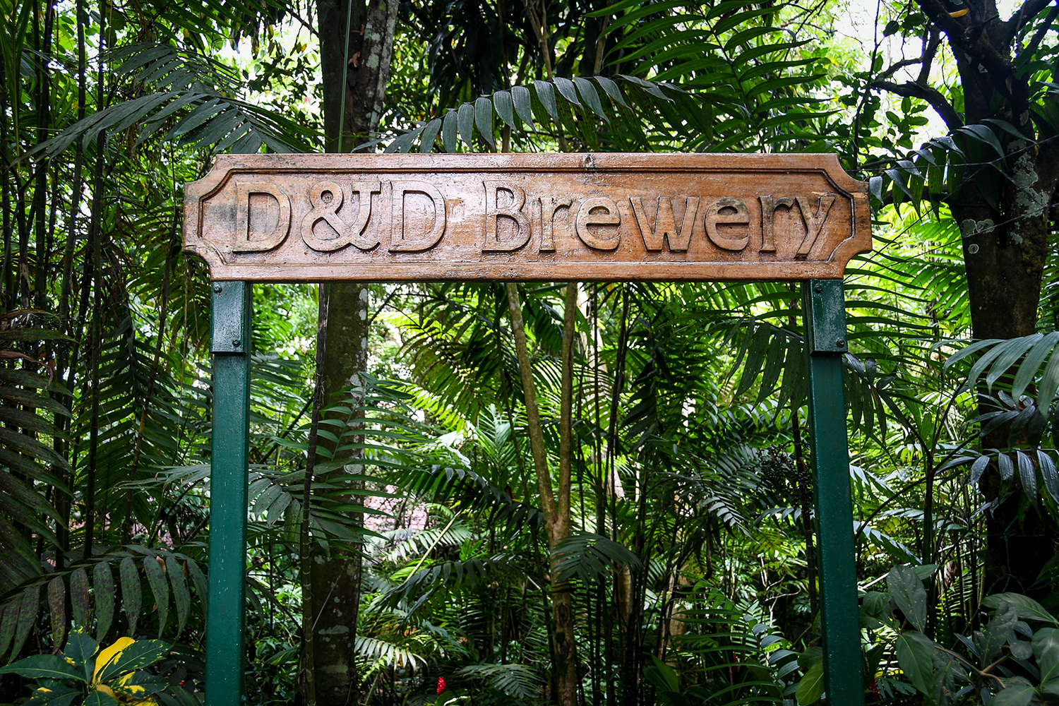 在洪都拉斯Yojoa湖D&D啤酒厂要做的事情