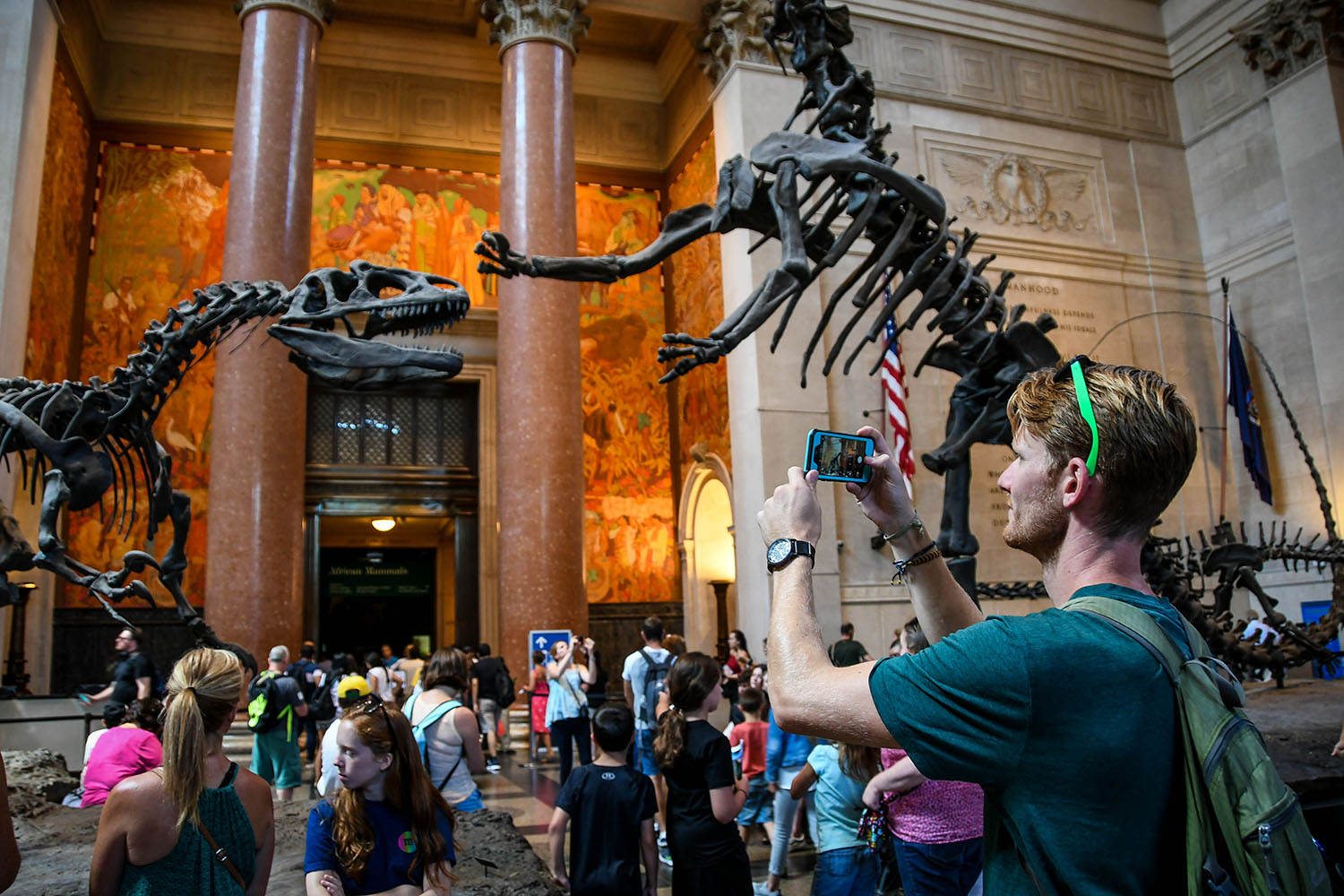 纽约市必做之事美国自然历史博物馆