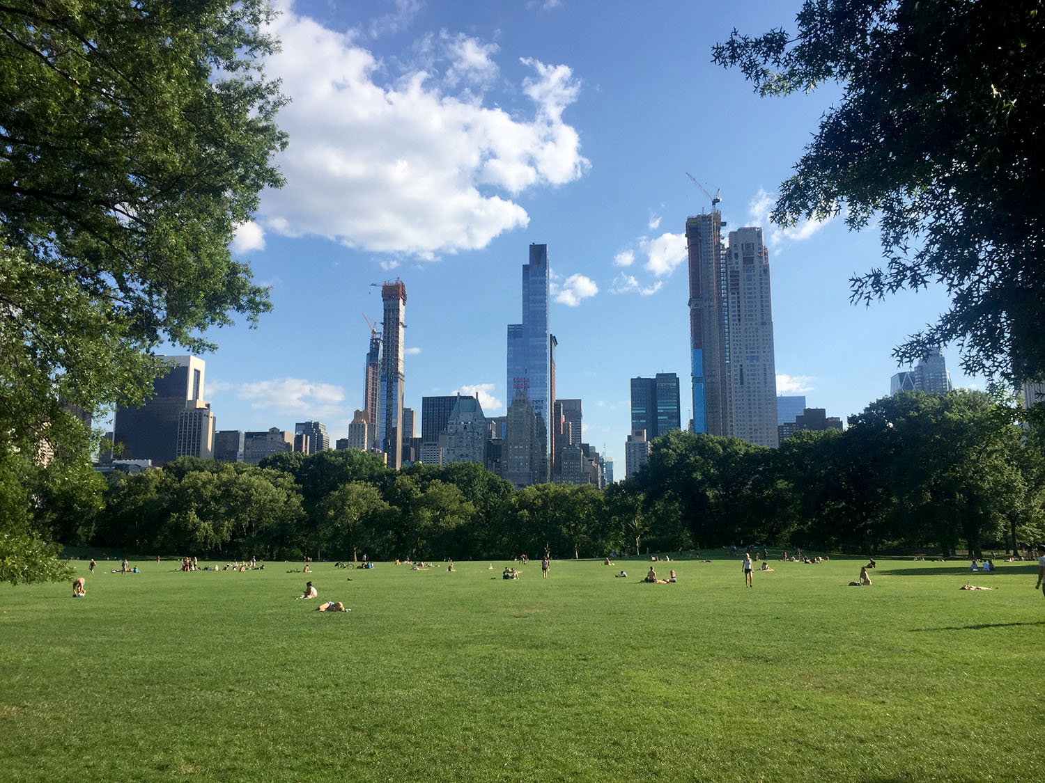 在纽约中央公园羊的草地上要做的事情