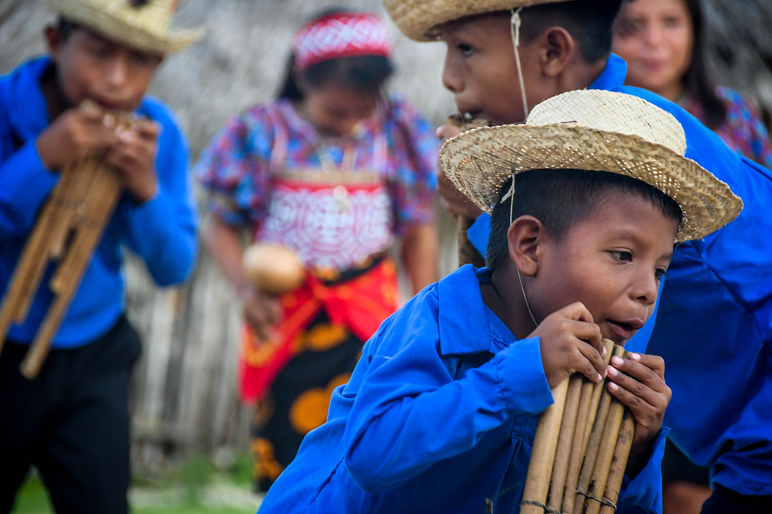圣布拉斯群岛巴拿马到哥伦比亚库纳儿童舞蹈