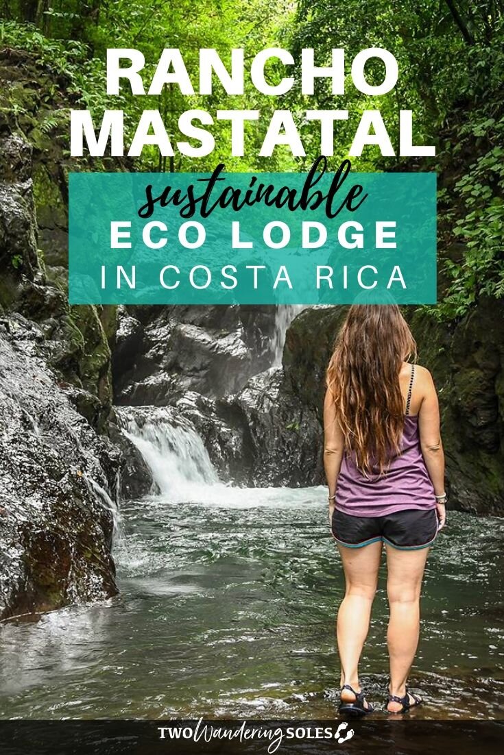 哥斯达黎加的Mastatal牧场
