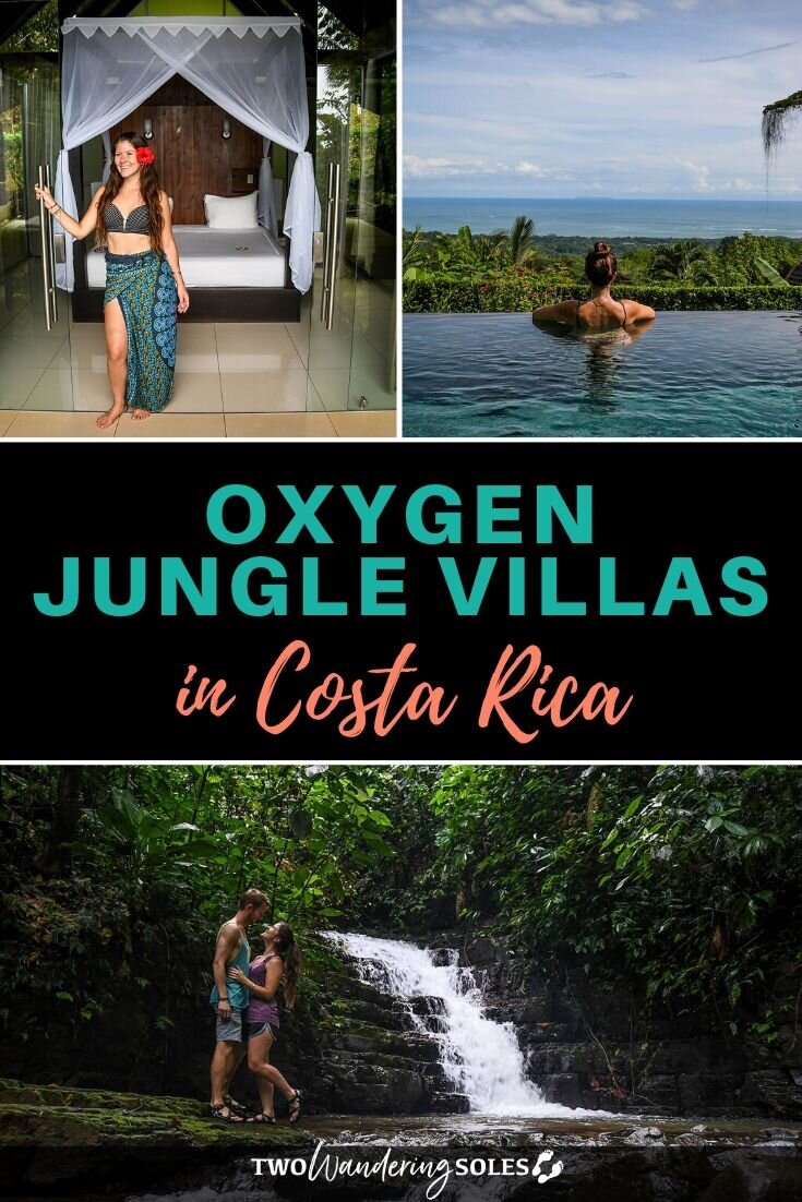 氧气丛林别墅:哥斯达黎加的奢华与浪漫