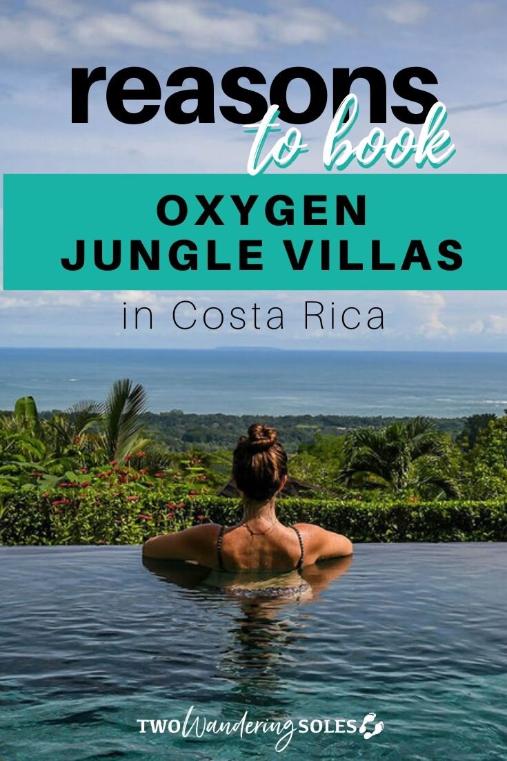 氧气丛林别墅:哥斯达黎加的奢华与浪漫
