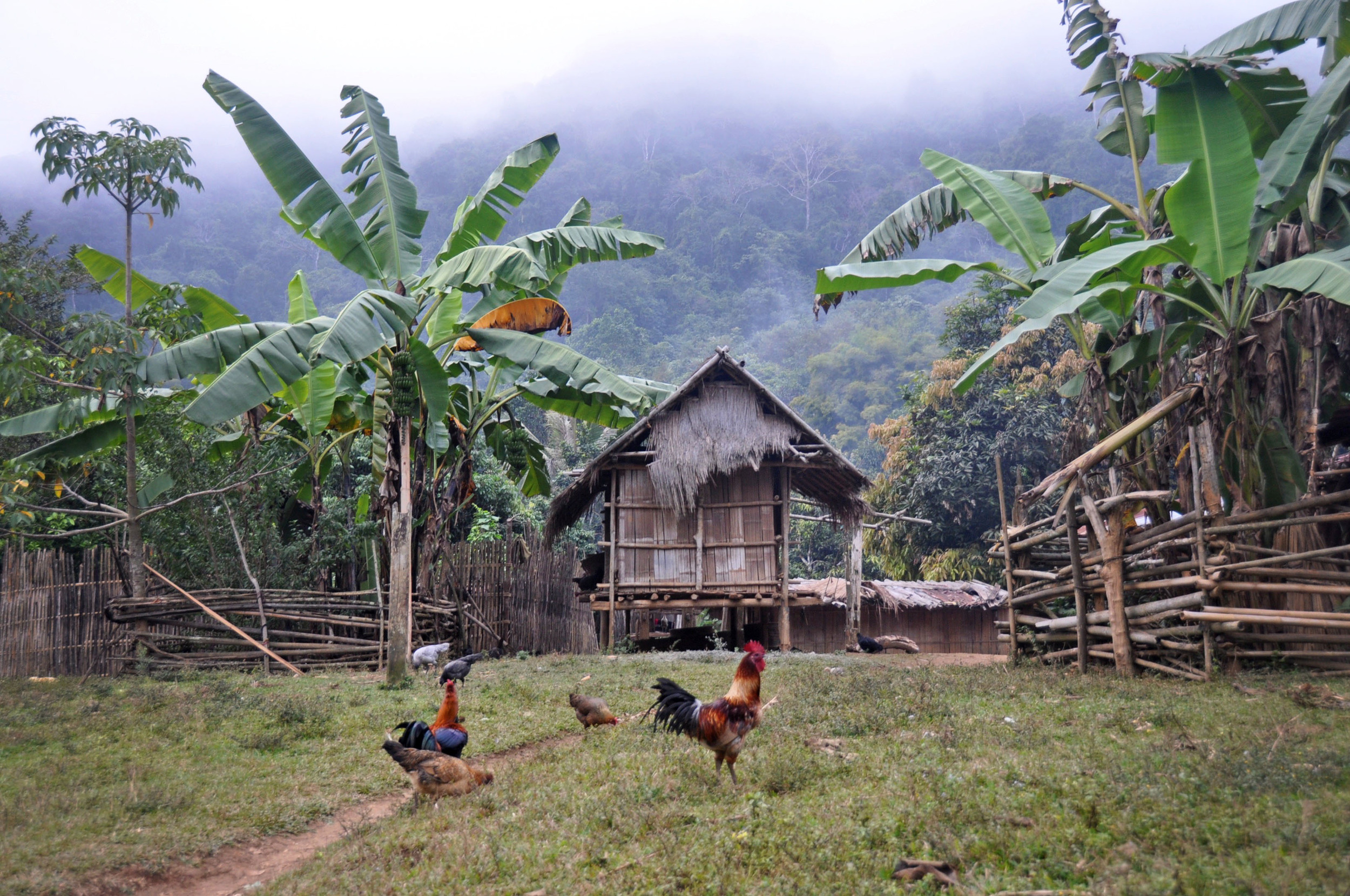 老挝远山部落民宿白象冒险