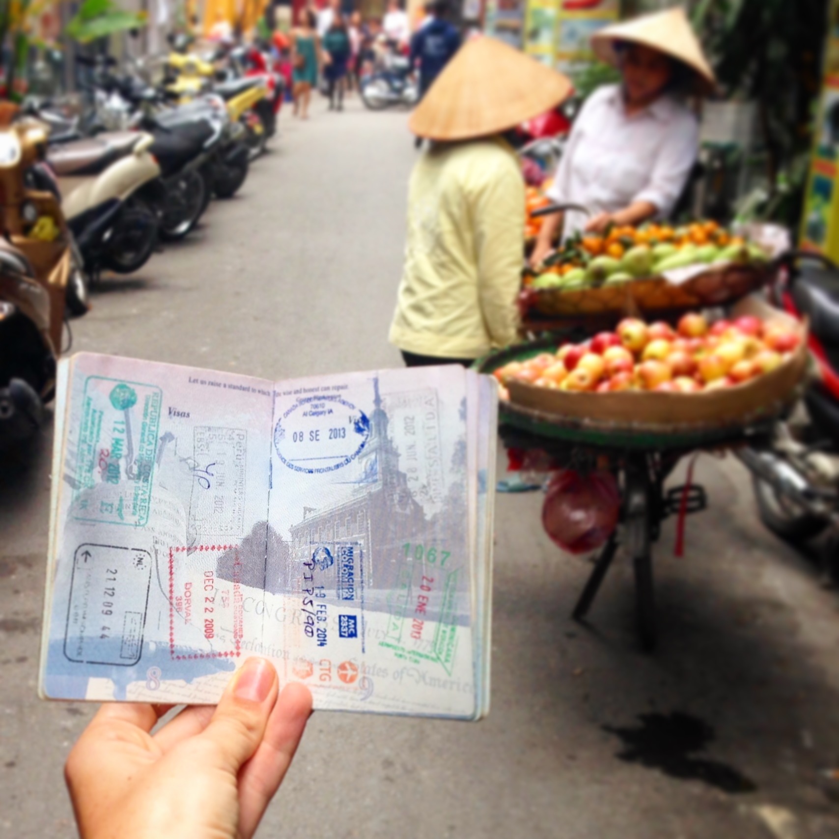 越南护照