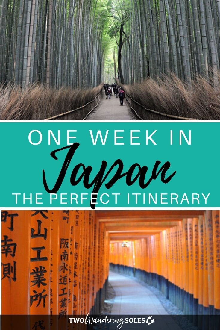 一个疯狂的一周在日本旅行:一华体会最新登录网站个完整的7天行程