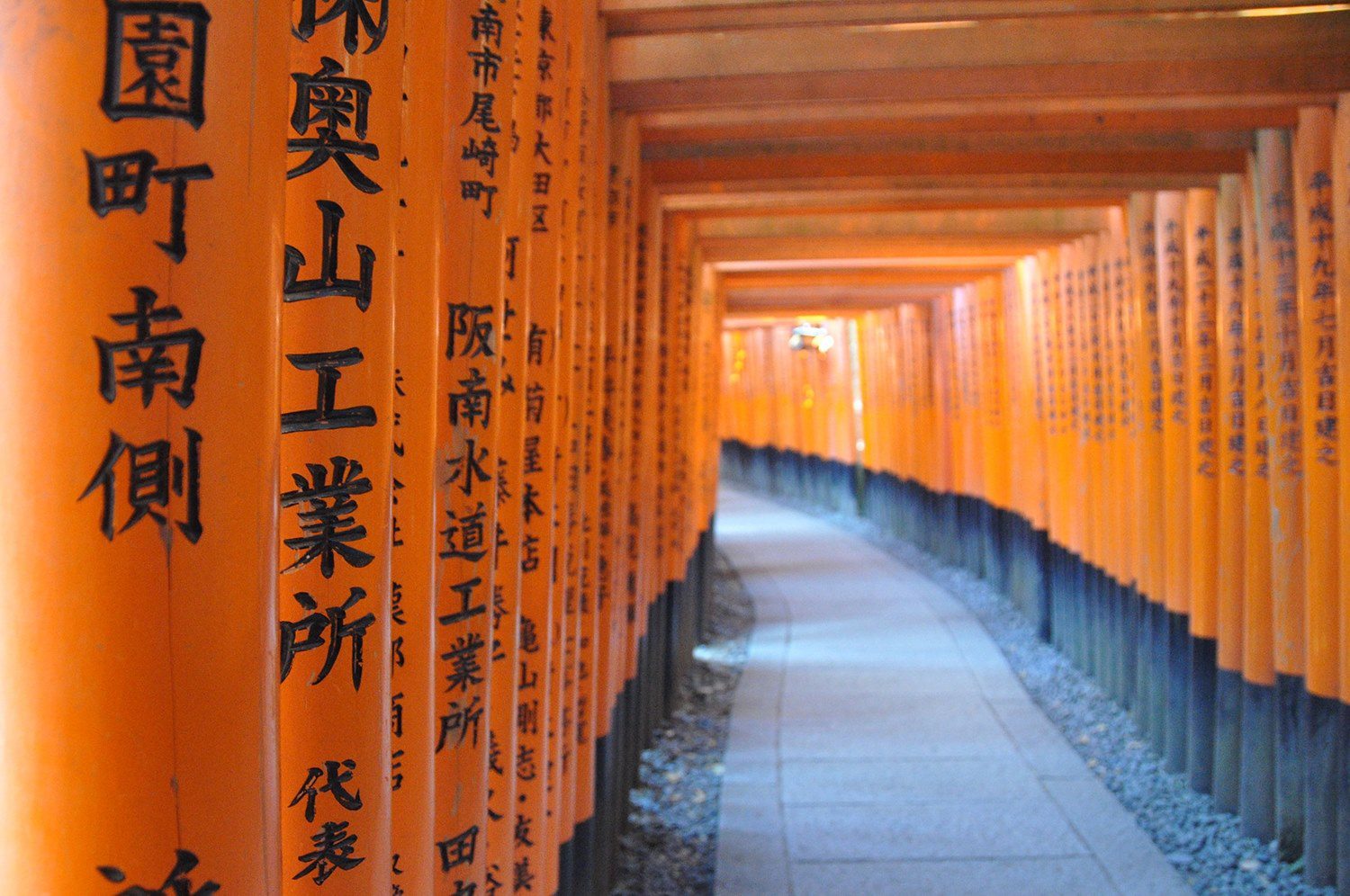 Fushimi Inari橙门京都日本
