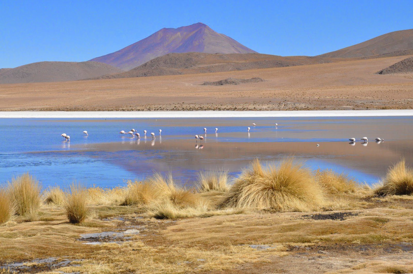 玻利维亚乌尤尼盐湖，红色星球，蓝色泻湖